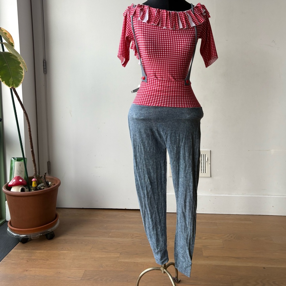 Farmer Girl Costume for Aerial Dancer